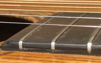 Purpose of Guitar Bar Frets